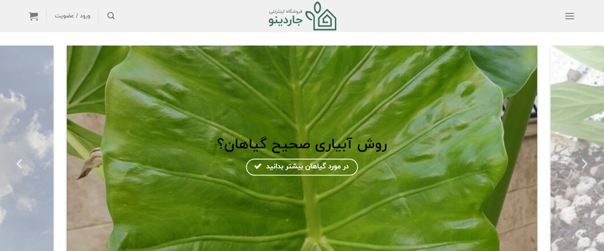 giardino-web