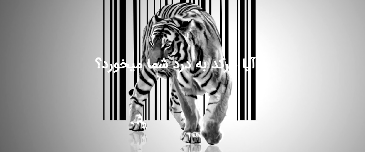mabanipardaz-web