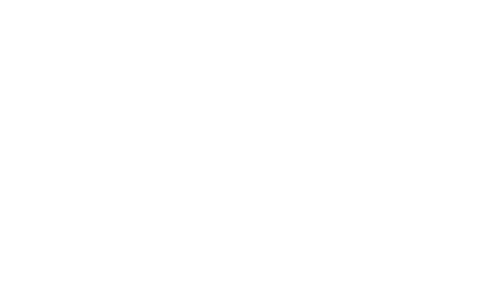 ARAN TRADING HOUSE