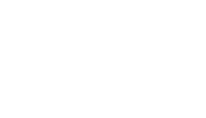 ایران ارکا
