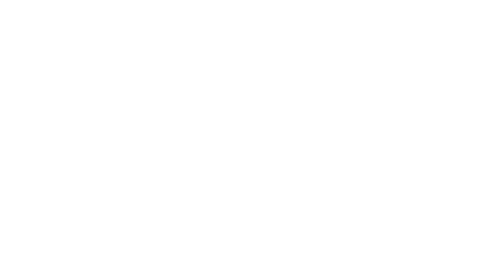 ایران انفورماتیک