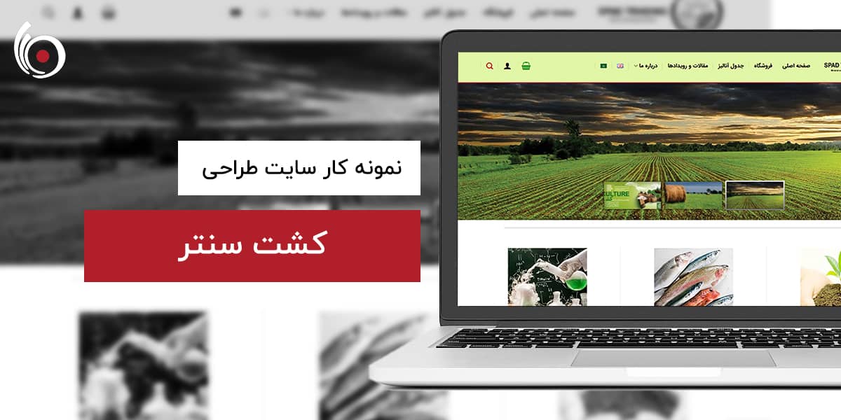 کشت سنتر | بیناسیتی