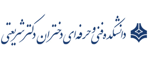 فنی حرفه ای فنی حرفه ای